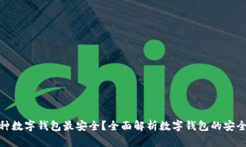 哪种数字钱包最安全？全面解析数字钱包的安全性