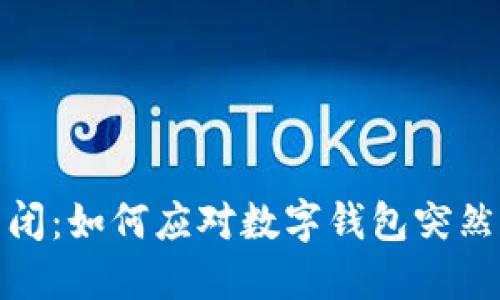 小狐钱包关闭：如何应对数字钱包突然停用的困境