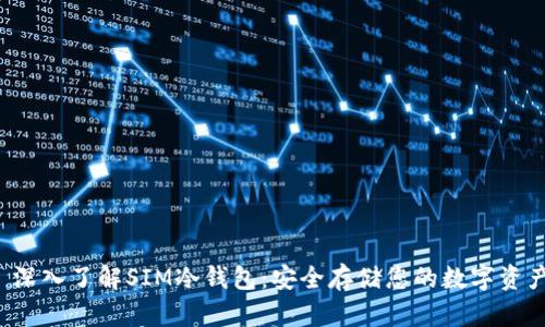  深入了解SIM冷钱包：安全存储您的数字资产