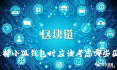 : 选择小狐钱包时应该考虑哪些国家？