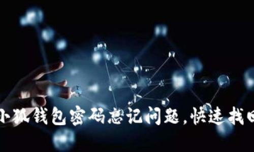 如何解决小狐钱包密码忘记问题，快速找回访问权限