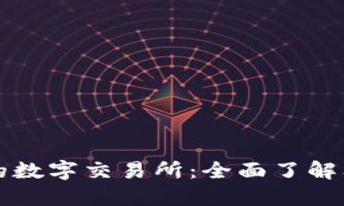 中国合法的数字交易所：全面了解及最新动态