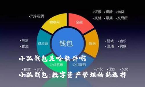 小狐钱包是啥软件啊

小狐钱包：数字资产管理的新选择