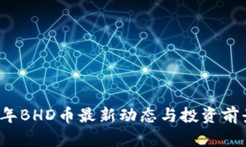2021年BHD币最新动态与投资前景分析