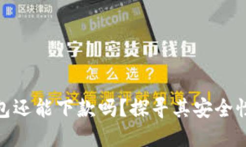 : 数字钱包还能下款吗？探寻其安全性与实用性