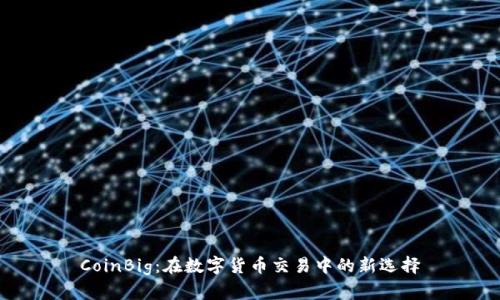 CoinBig：在数字货币交易中的新选择