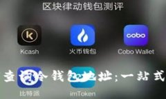 如何查询冷钱包地址：一站式指南
