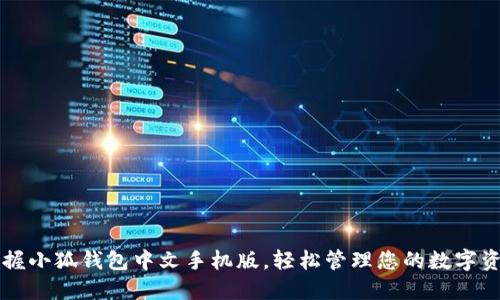 掌握小狐钱包中文手机版，轻松管理您的数字资产