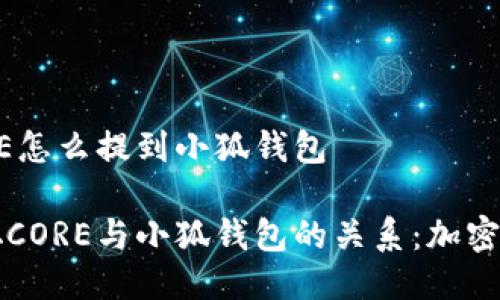 中本聪CORE怎么提到小狐钱包

揭开中本聪CORE与小狐钱包的关系：加密货币的未来