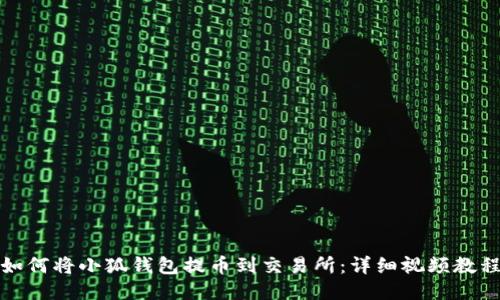 如何将小狐钱包提币到交易所：详细视频教程