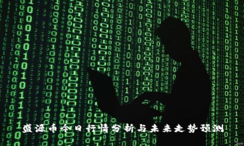 盛源币今日行情分析与未来走势预测
