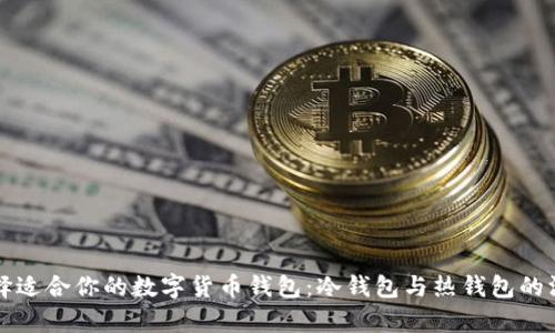如何选择适合你的数字货币钱包：冷钱包与热钱包的深度解析