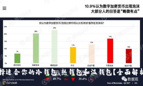 如何选择适合你的冷钱包、热钱包和温钱包？全面解析及指导