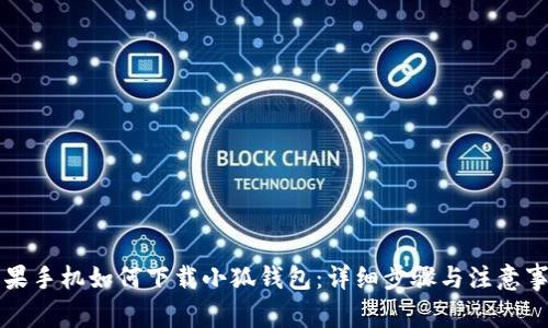 苹果手机如何下载小狐钱包：详细步骤与注意事项