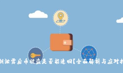 私钥泄露后币被盗是否能追回？全面解析与应对措施
