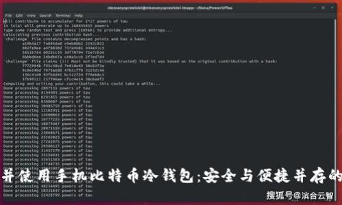 如何选择并使用手机比特币冷钱包：安全与便捷并存的解决方案