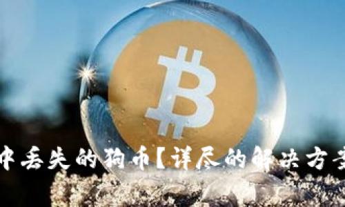 如何找回冷钱包中丢失的狗币？详尽的解决方案与常见问题解析