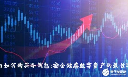 国内如何购买冷钱包：安全储存数字资产的最佳选择