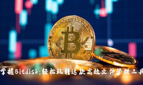 掌握Bitdisk：轻松玩转这款高效文件管理工具