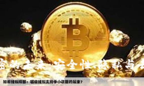 : 数字货币加密的未来：安全性、隐私与去中心化的挑战