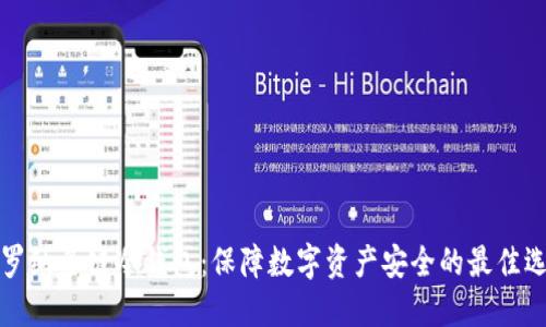 卡罗纳多链冷钱包：保障数字资产安全的最佳选择