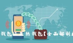  网页版钱包是冷钱包还是热钱包？全面解析数字