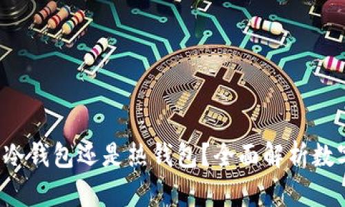  网页版钱包是冷钱包还是热钱包？全面解析数字资产储存方式