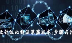 如何有效升级比特派苹果版本：步骤与注意事项