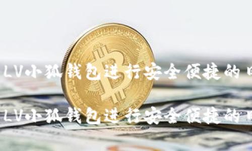 如何使用LV小狐钱包进行安全便捷的日常支付？

如何使用LV小狐钱包进行安全便捷的日常支付？