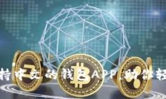 全面解析支持中文的钱包APP，助你轻松管理资金