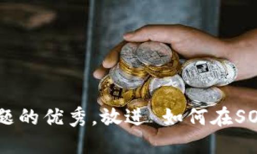 思考一个能解决用户问题的优秀，放进 如何在SOL网络上设置MetaMask