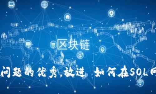 思考一个能解决用户问题的优秀，放进 如何在SOL网络上设置MetaMask
