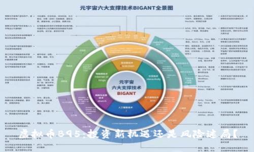 虚拟币B95：投资新机遇还是风险迷局？