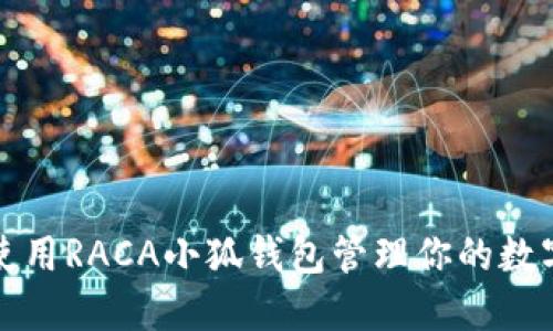 如何使用RACA小狐钱包管理你的数字资产
