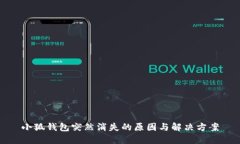 小狐钱包突然消失的原因与解决方案