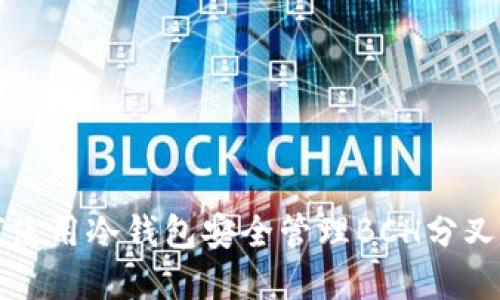 如何使用冷钱包安全管理BCH分叉资产
