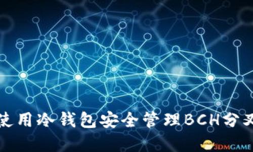 如何使用冷钱包安全管理BCH分叉资产