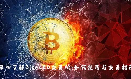 深入了解BiteCEO交易所：如何使用与交易指南