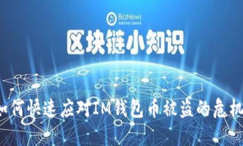 如何快速应对IM钱包币被盗的危机？