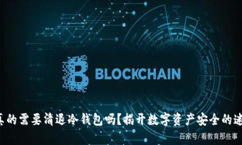 你真的需要清退冷钱包吗？揭开数字资产安全的迷雾！