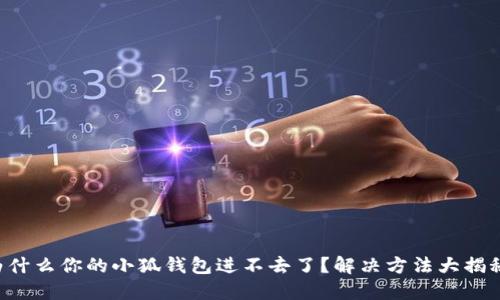 为什么你的小狐钱包进不去了？解决方法大揭秘！