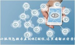 小狐钱包提币未到账？别慌，这里有解决方案！