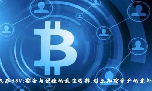 冷钱包存BSV：安全与便捷的最佳选择，避免加密资产的意外损失！