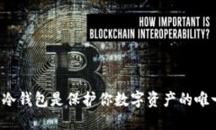 为什么冷钱包是保护你数字资产的唯一选择？