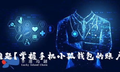 切换账户难题？掌握手机小狐钱包的账户管理技巧！