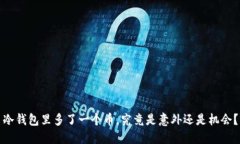 冷钱包里多了一个币，究竟是意外还是机会？