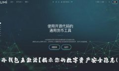 冷钱包未激活？揭示你的数字资产安全隐患！