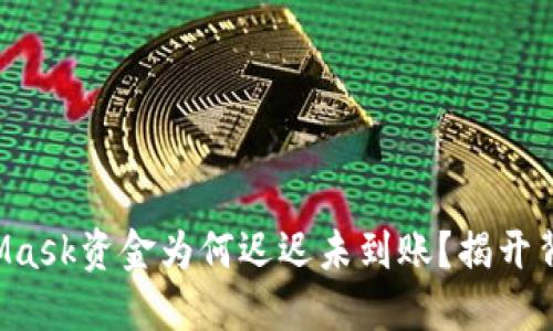 你的MetaMask资金为何迟迟未到账？揭开背后的迷雾！