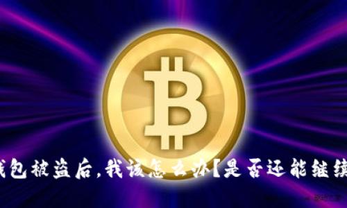 小狐钱包被盗后，我该怎么办？是否还能继续使用？