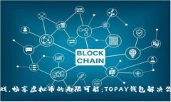 充值游戏，畅享虚拟币的无限可能：TOPAY钱包解决